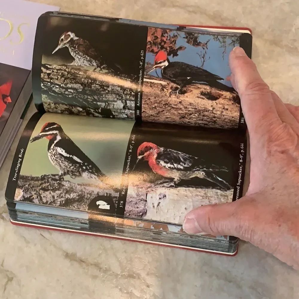 2 Bird Reference Books - Picture 3 of 8